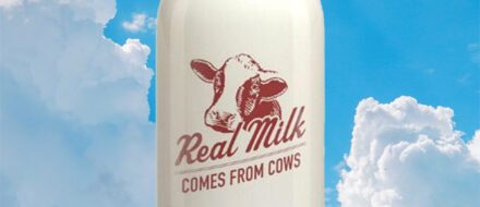 raw milk