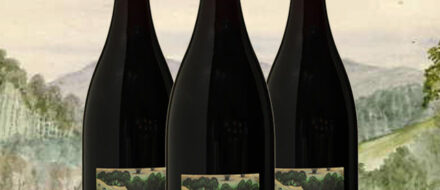 Mahmood Fazal reviews Bull Swamp Pinot Noir