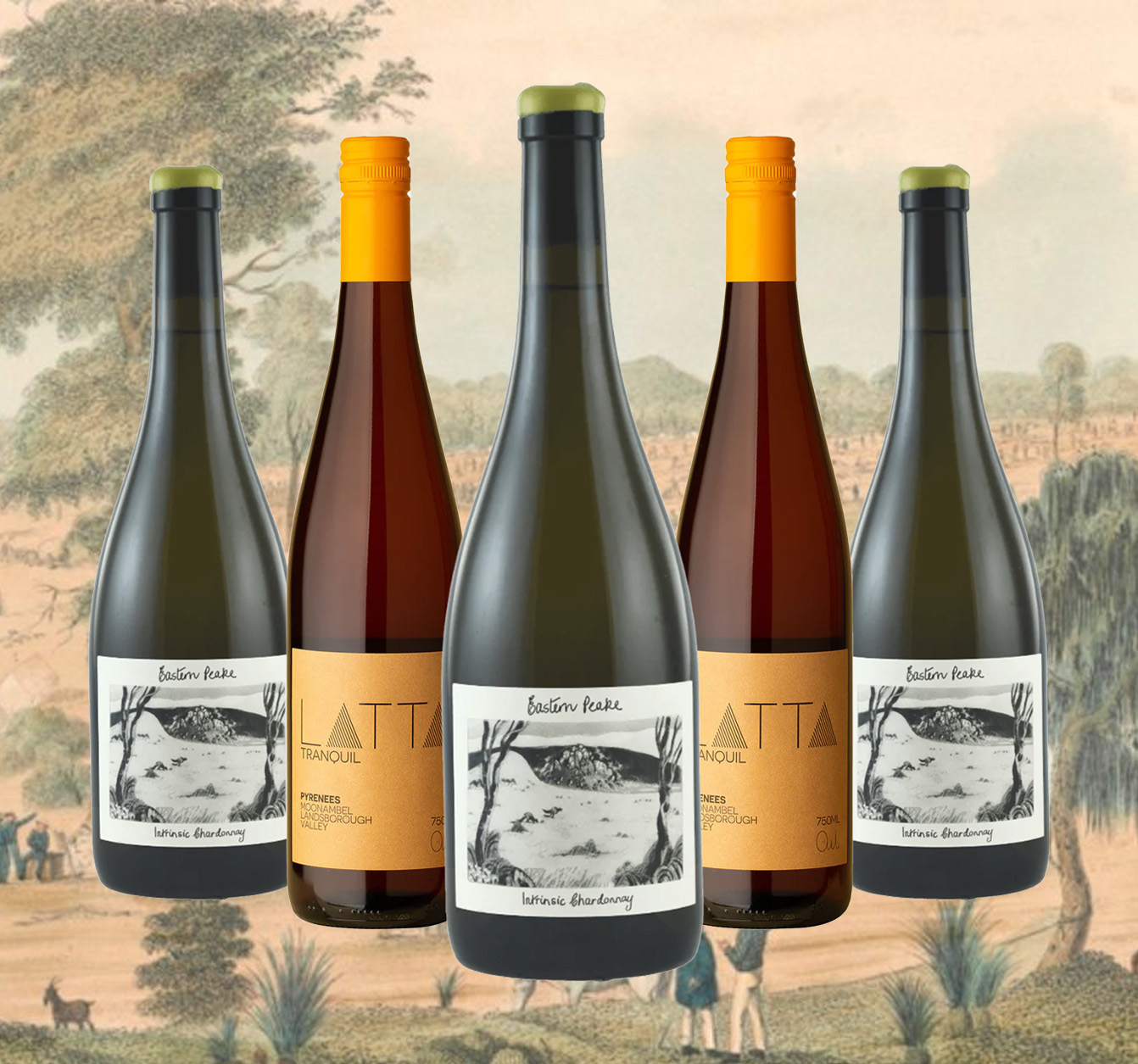 Uncorked: The ‘crafty’ Victorian family making liquid gold