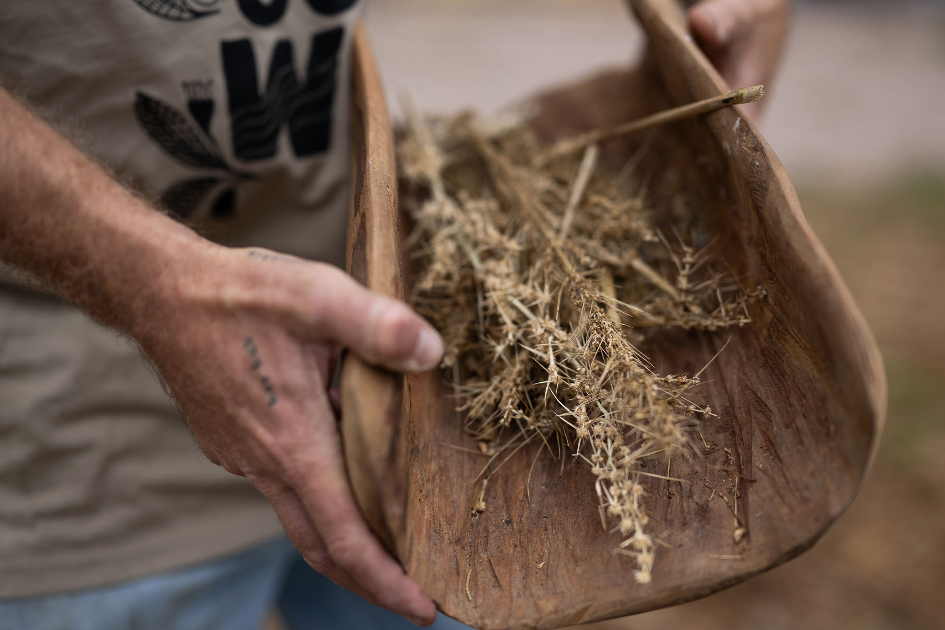 Why this French Champagne house is elevating native Australian ingredients