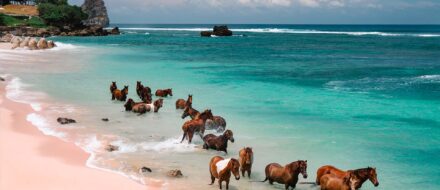 Nihi Sumba