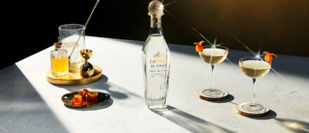PATRON-EL-CIELO-LIFESTYLE-MARTINI