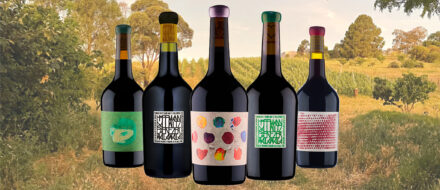 Sami-Odi wine review