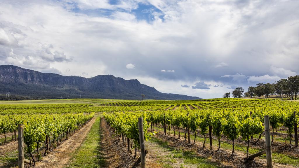 The 10 best wineries in the Hunter Valley
