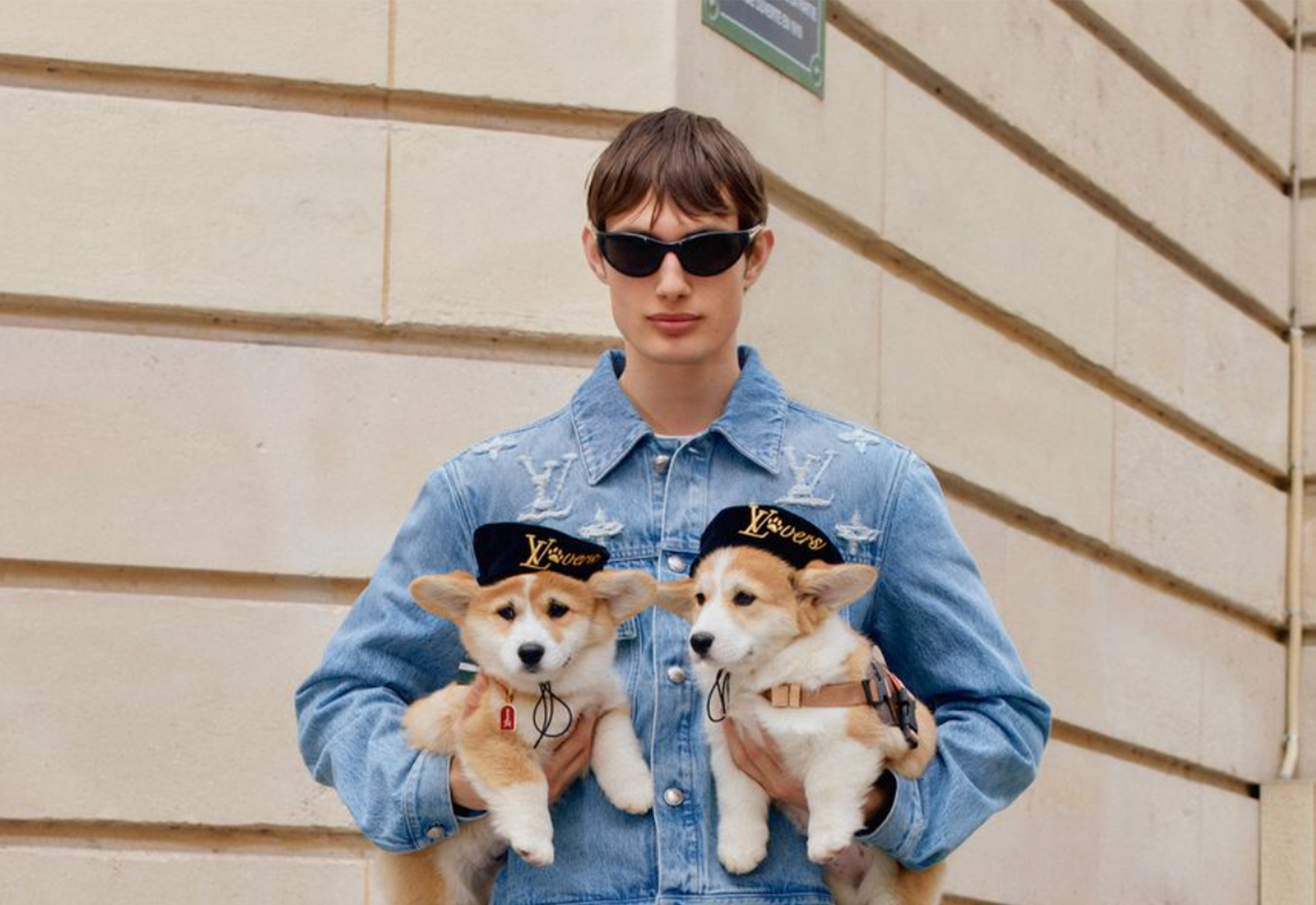 A collection for good boys (and their owners)