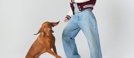 Louis Vuitton DOG LVRS