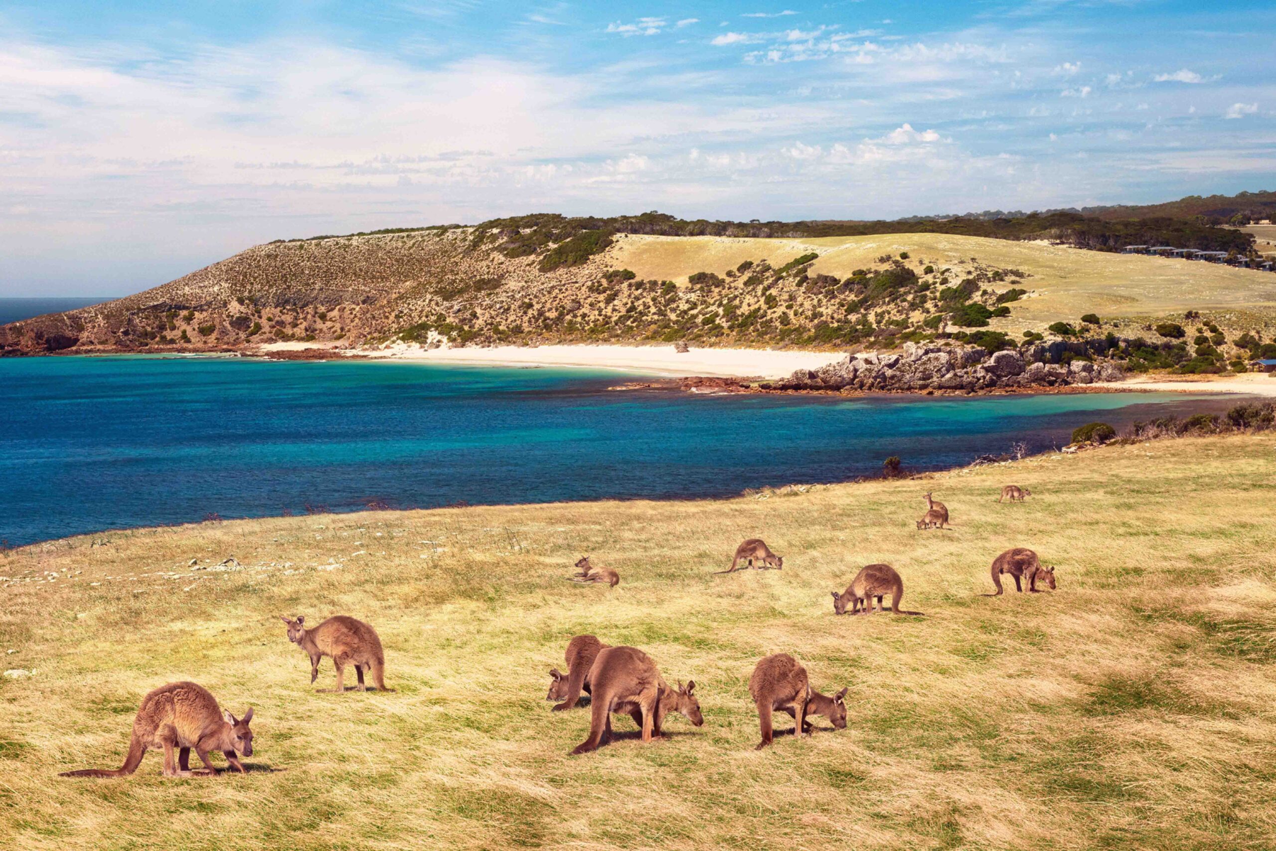 These are the best beaches in Australia