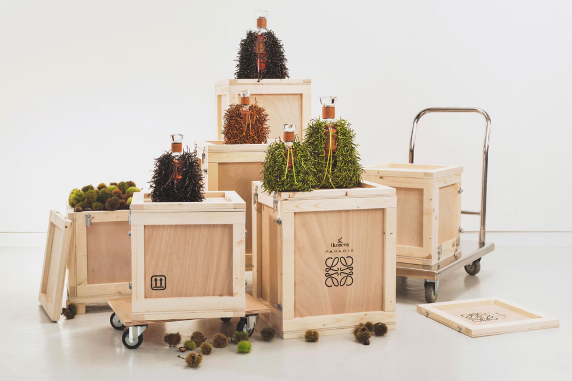 Loewe x Hennessy: Jonathan Anderson’s one for the road