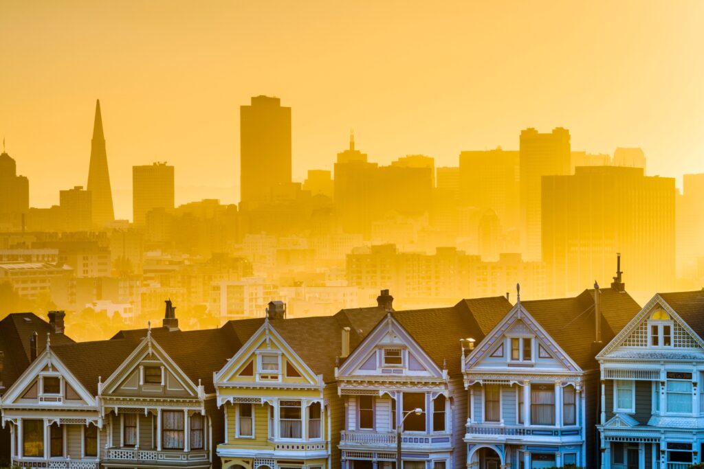 the bay area