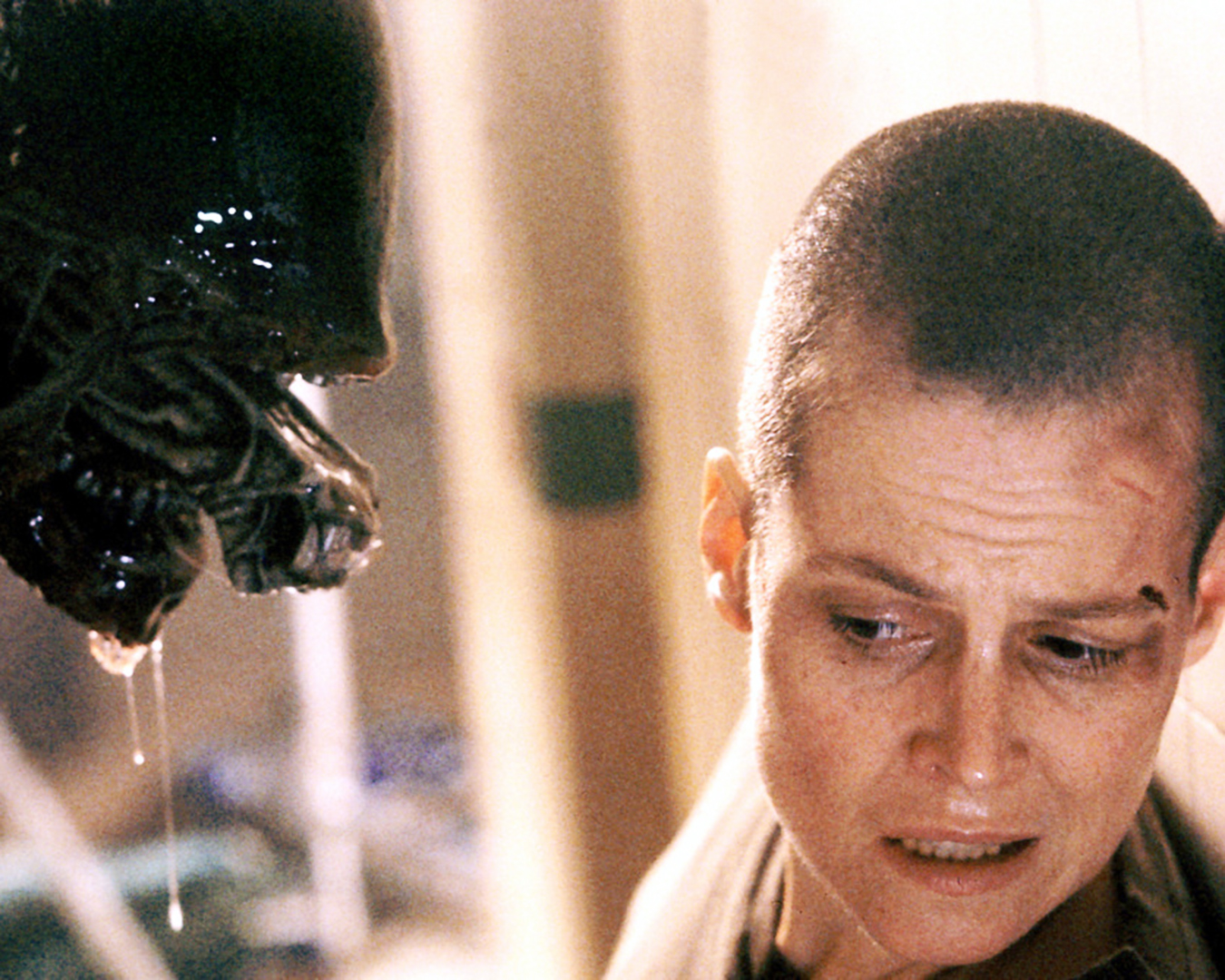 Aliens, Alien